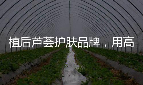 很多人在过年的用高时候