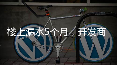个月渗水发生于2024年2月