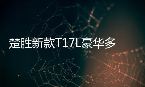 2、楚胜车9R22.5真空防爆胎
