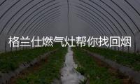 快排公司十年历程，霸屏兔 seo 的崛起与坚守
