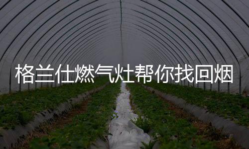 气灶表达最纯粹的帮找爱意