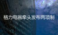 格力电器牵头发布两项制冷压缩机国际标准 董明珠：消费者的需要才是真正的标准