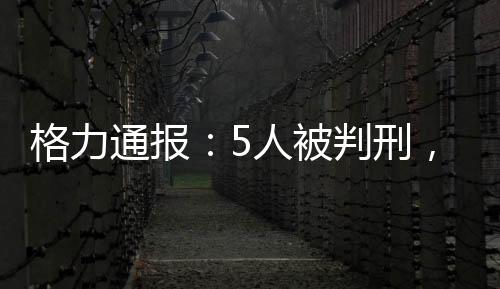 相关侵权主体已依法受到惩处