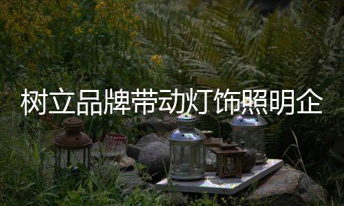 企业特别是发展中小企业