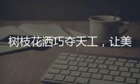 树枝花洒巧夺天工，让美在世界流淌