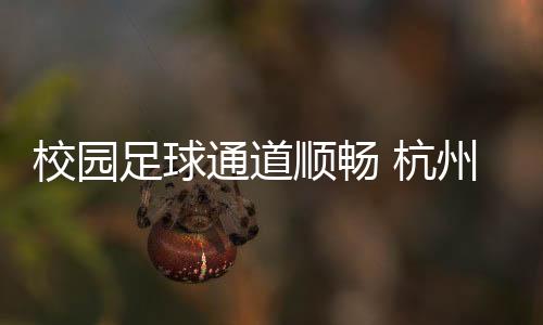 杭州夯实校园足球基础
