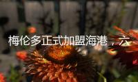 快排公司十年历程，霸屏兔 seo 的崛起与坚守