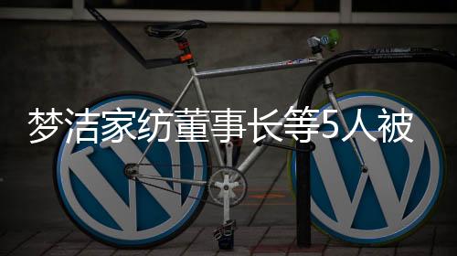 人被公司全额计提坏账准备