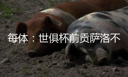 贡萨洛在美国成功抓住了机会