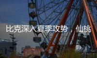 比克深入夏季攻势
，仙桃市场开门红