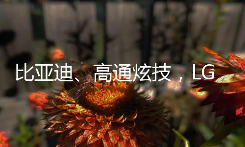 康们扩圈遥遥领先国内外同行