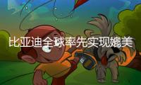 比亚迪全球率先实现媲美L4级智能泊车，承诺中国市场全面兜底