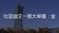 比亚迪又一重大举措：全面兜底