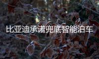 比亚迪承诺兜底智能泊车！媲美L4级体验，出了问题官方赔付