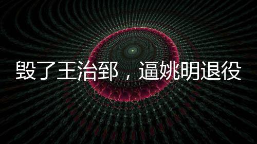 李元伟还是毁王觉得无比惋惜