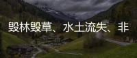 毁林毁草	、水土流失、非法采矿……中央生态环保督察集中通报3省区典型案例