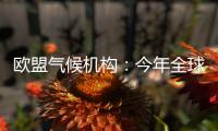 欧盟气候机构：今年全球气温经历有记录以来第二热的5月