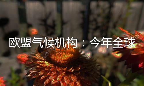 机构今年经历仅次于去年同期