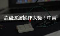 欧盟这波操作太骚！中美刚要联手绞杀，它竟想左右逢源
�？