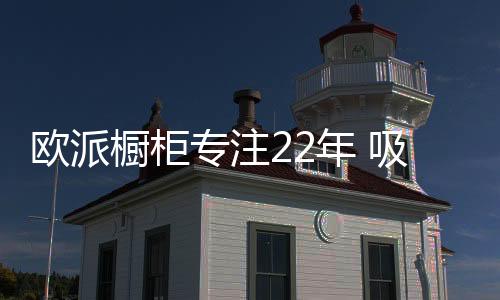突破堪称“吸塑之王”