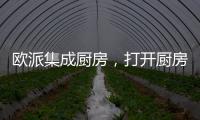欧派集成厨房，打开厨房设计新方向丨欧派橱柜