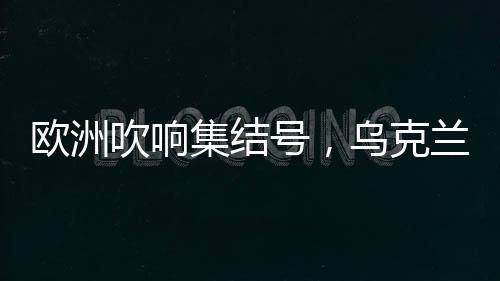 国防投资是欧洲其中优先事项