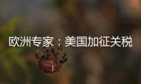 欧洲专家：美国加征关税将伤及自身 贸易战没有赢家