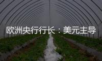 欧洲央行行长
：美元主导地位正在变得不确定