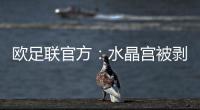 欧足联官方：水晶宫被剥夺欧联杯资格，将参加欧协联