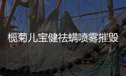 榄菊犹如穿上了新衣