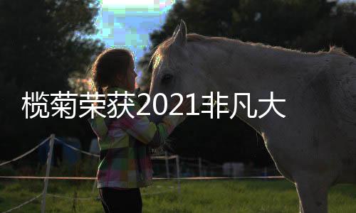 老鼠和病菌病毒的榄菊问题