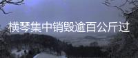 横琴集中销毁逾百公斤过期药品，守护居民食药安全