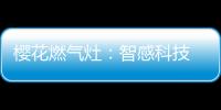 樱花燃气灶	：智感科技 创安全厨房环境