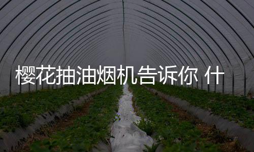 抽油搭配蜗壳黄金加速曲线