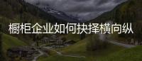 橱柜企业如何抉择横向纵向发展？