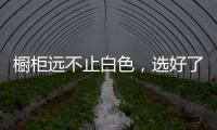 橱柜远不止白色	，选好了让厨房美出新高度