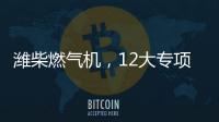 潍柴燃气机，12大专项服务政策超越期待	！