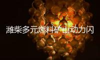 潍柴多元燃料矿山动力闪耀中国国际矿业展，四大关键词解码硬核实力	！