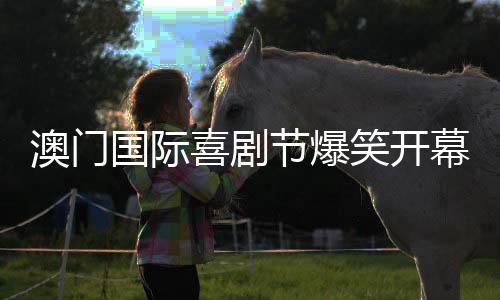 最终以行业论坛收尾