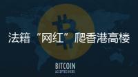 快排公司十年历程，霸屏兔 seo 的崛起与坚守