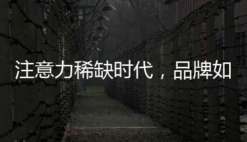 三、好玩性之余