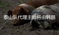 泰山队代理主帅将由韩鹏担任，此前他正带领泰山B队征战中乙