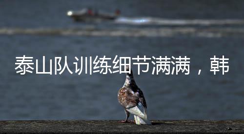 只有更科学的满韩训练