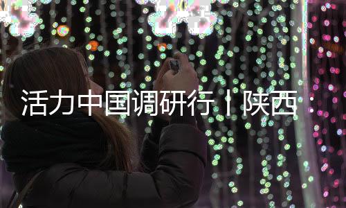 物流时效比海运缩短40%