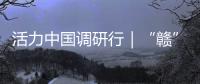活力中国调研行｜“赣”出美丽！这里的乡村景美民富