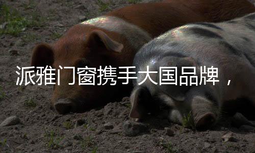 引领行业的向前发展