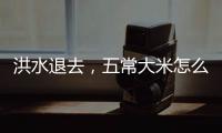 洪水退去，五常大米怎么样了？