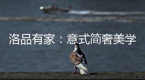 传递不一样的洛品设计理念