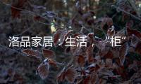 洛品家居：生活，“柜”在精彩