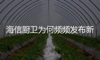 快排公司十年历程，霸屏兔 seo 的崛起与坚守